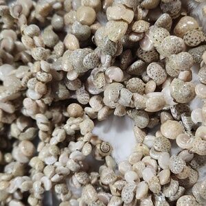 Authentic Hawaiian Snail Shell Lei Necklaces Qty 9